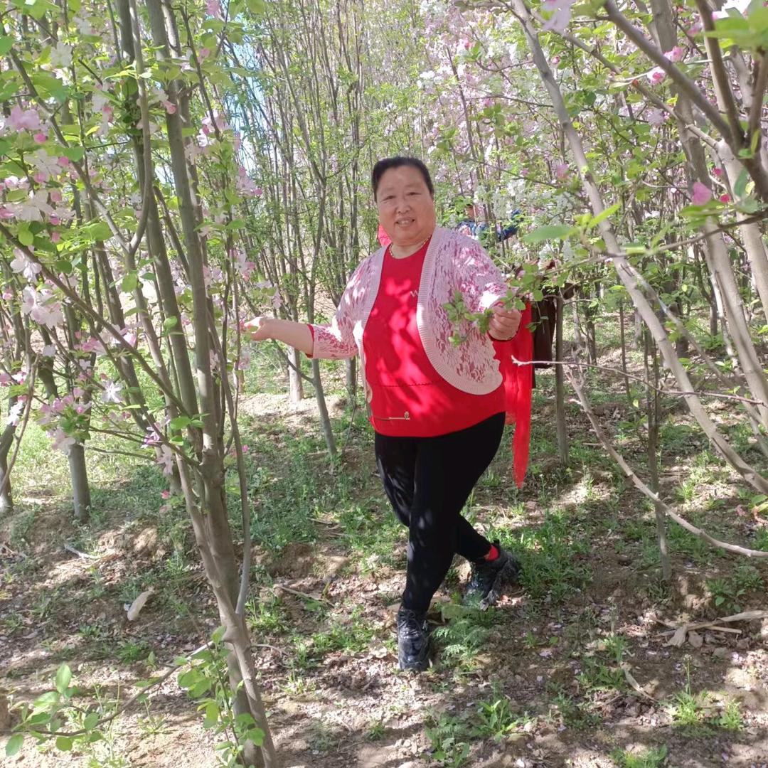 桂芳