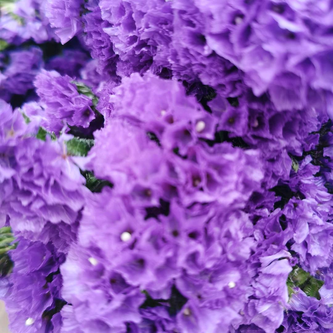 走己让别人说去吧_