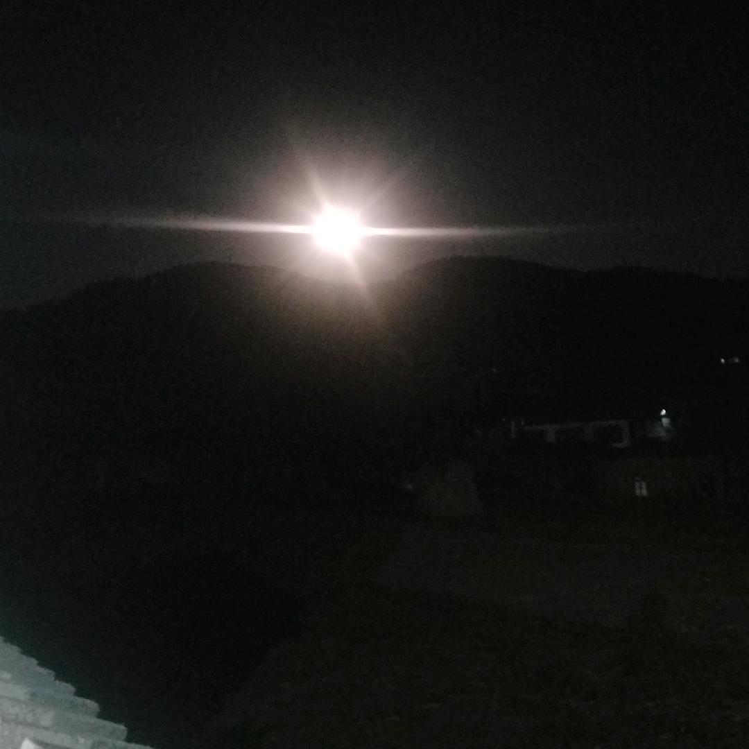 小飞飞的日常生活