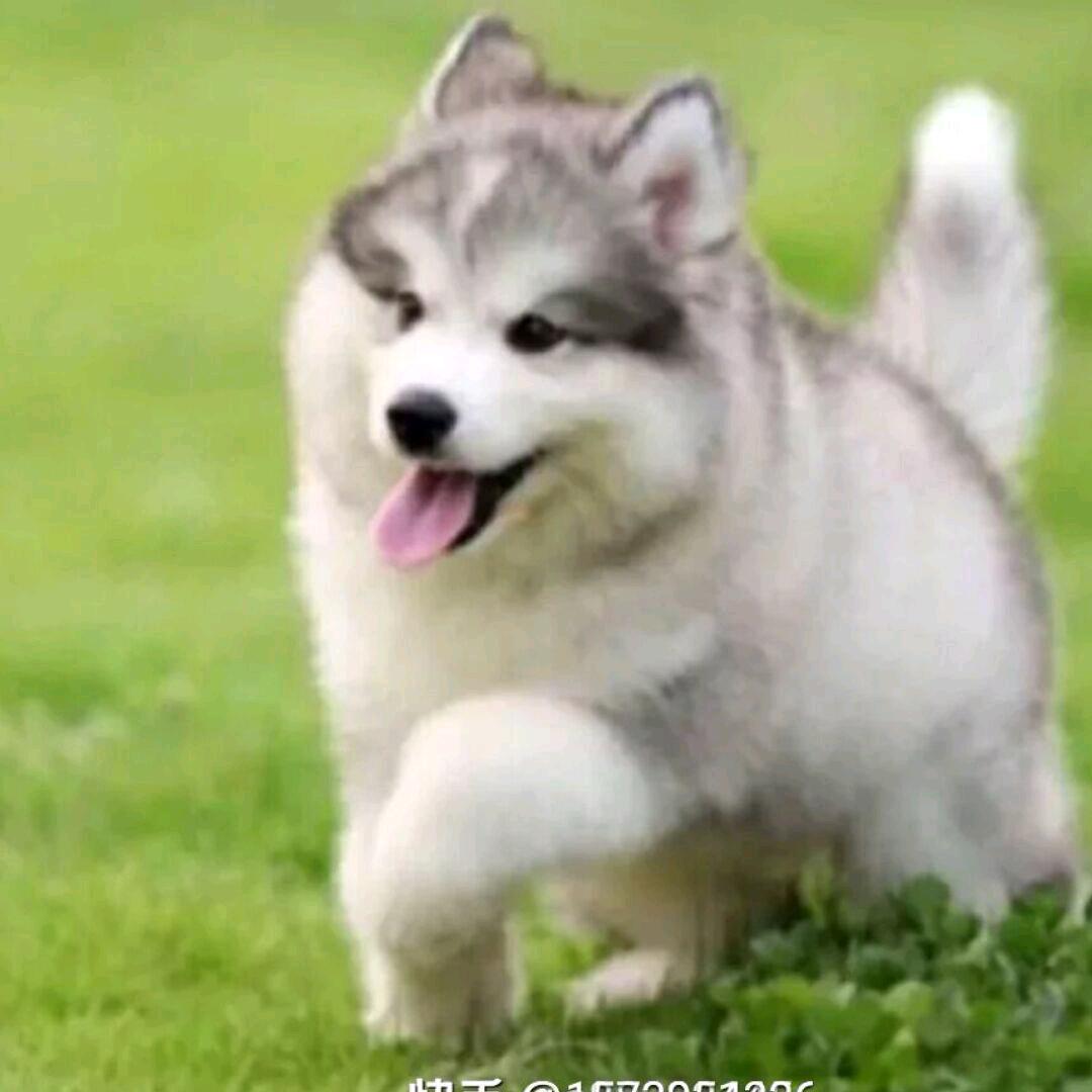 小说里