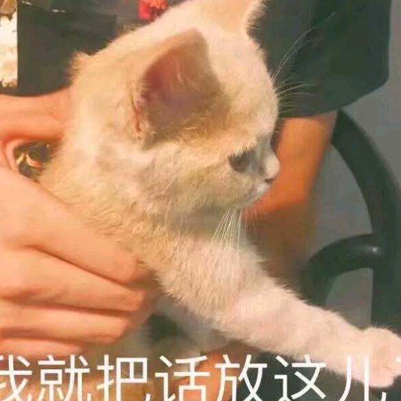 在路上（倾听者）