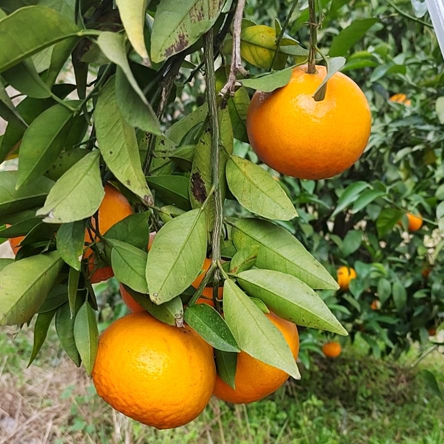飞克泵业五金机电