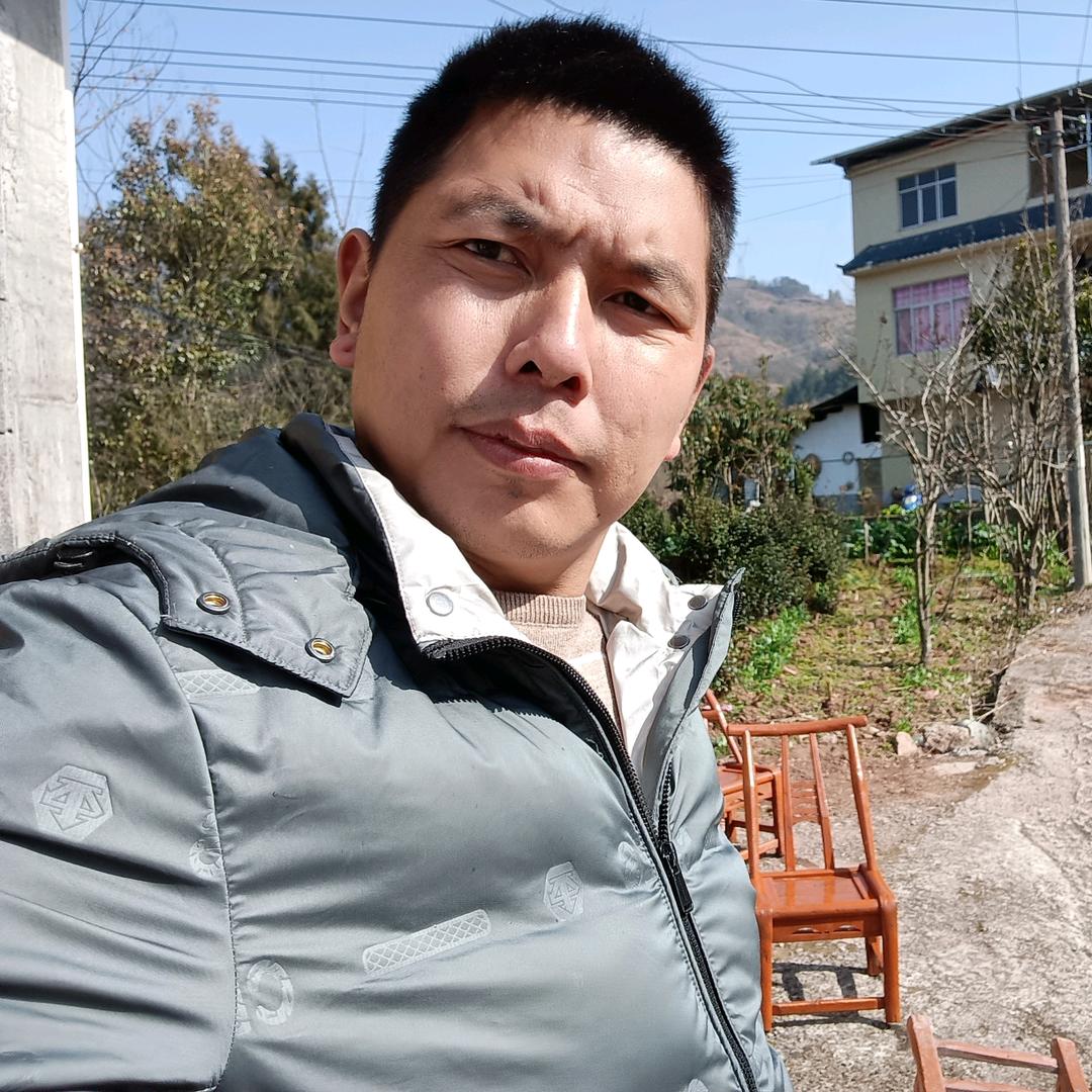 老杨货运