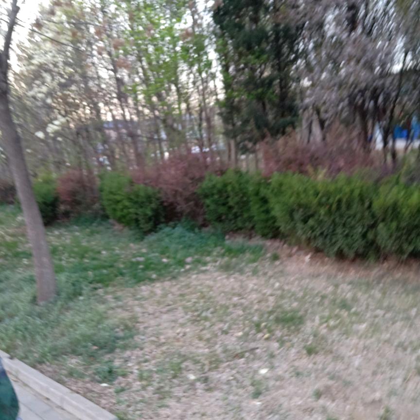 海的胸怀