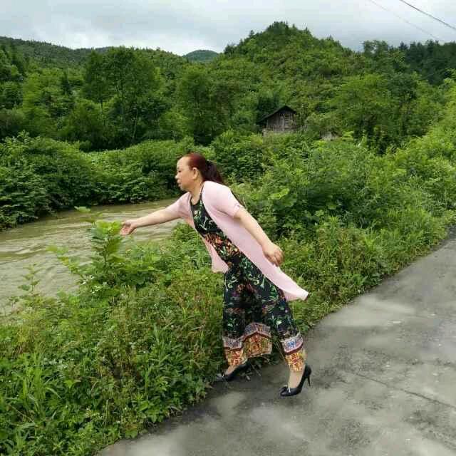六五年的懒蛇儿