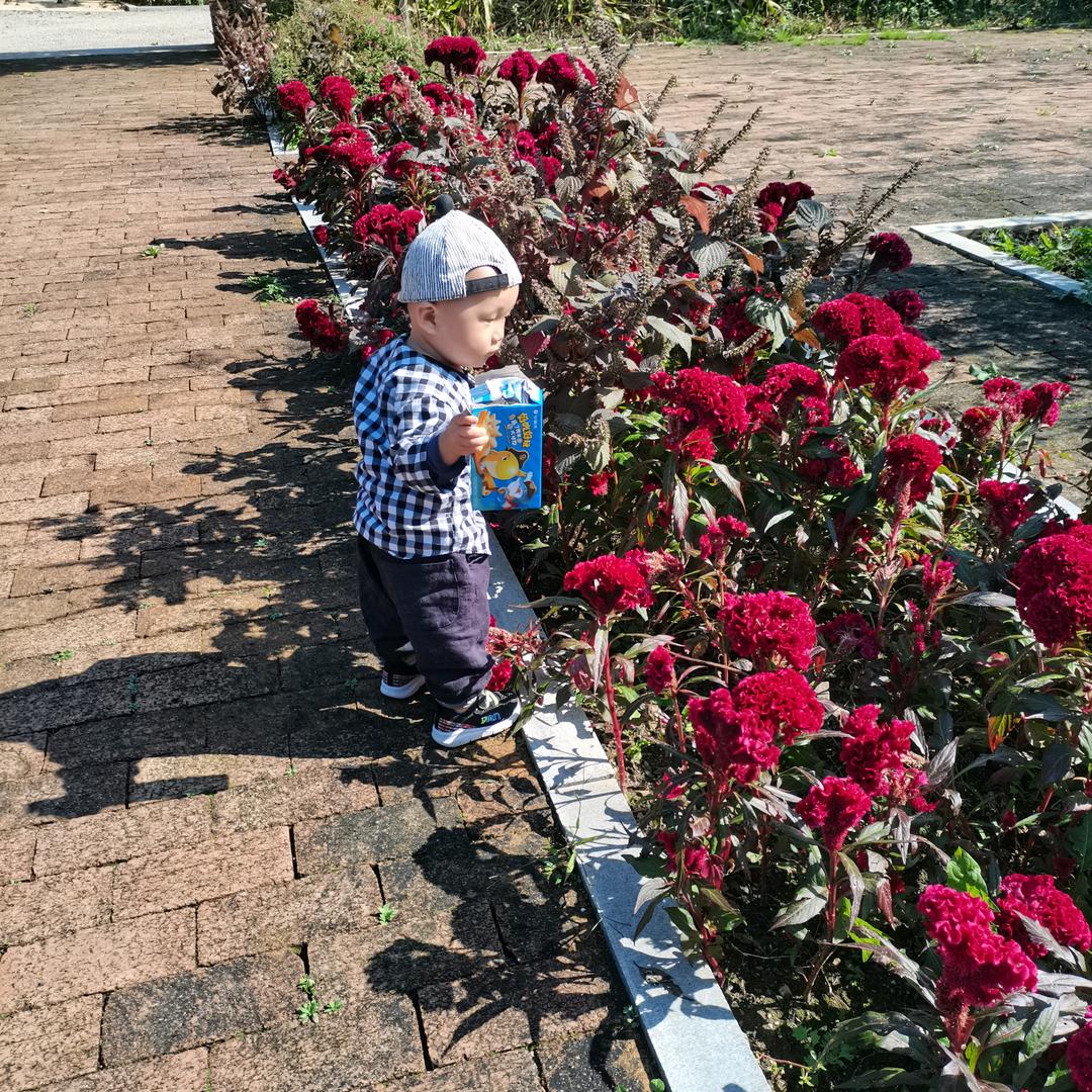 “牛”“牛”爸往前冲