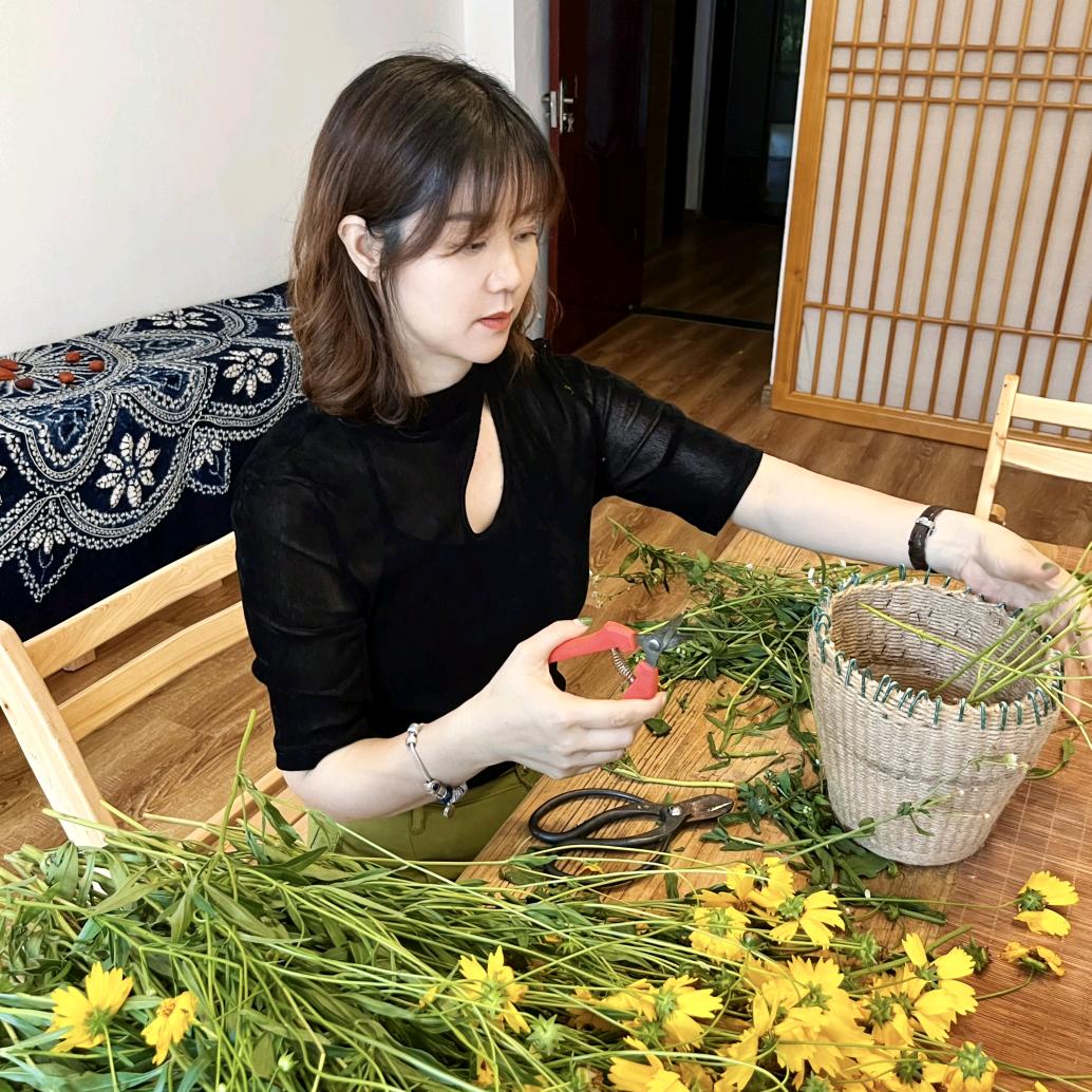 木易杨