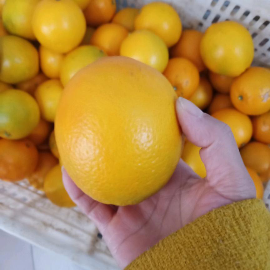 难的糊涂