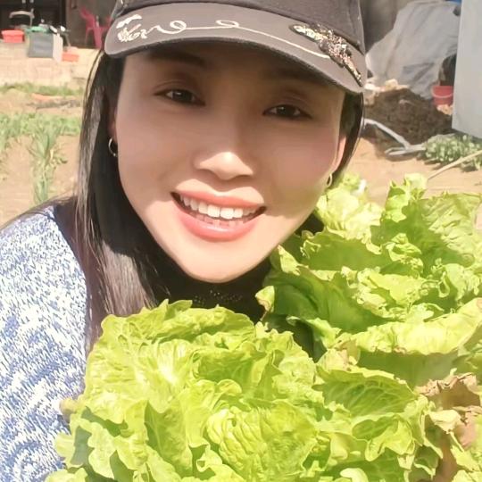 小草鱼🌻