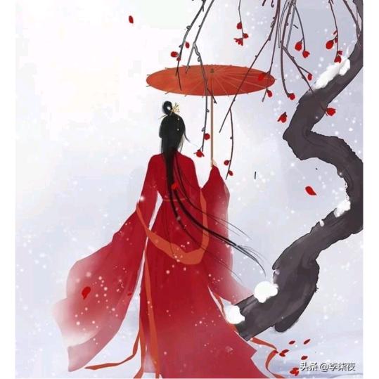张丽菲