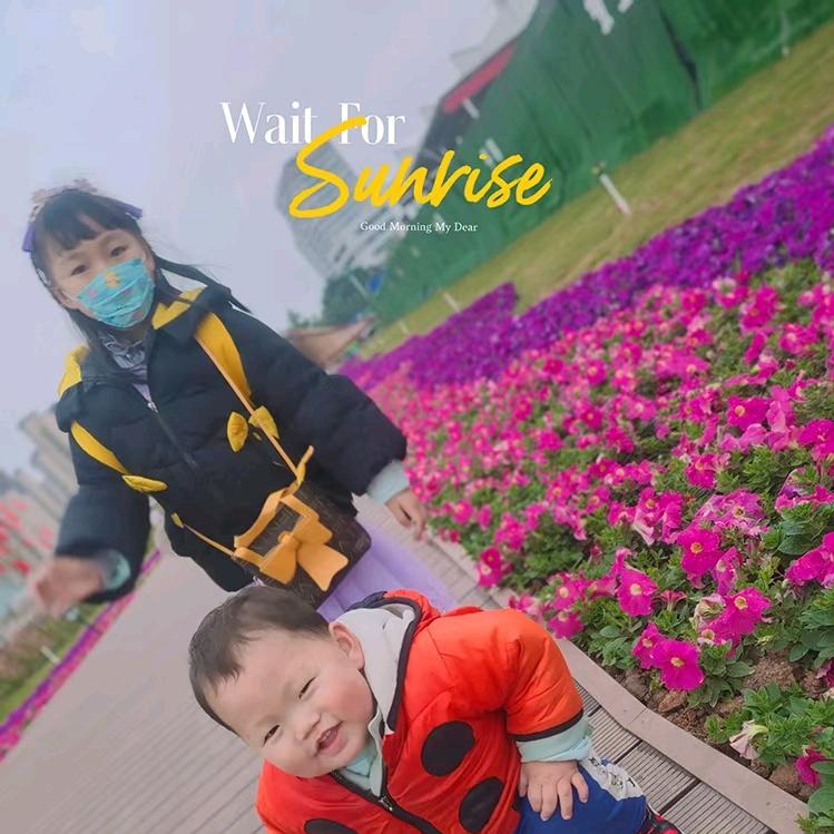 ㅤㅤㅤㅤㅤㅤㅤㅤㅤ