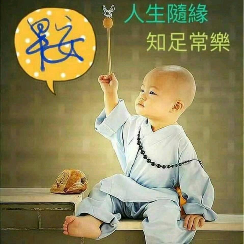 绿色高山茶