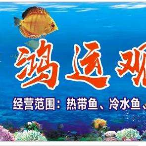 张家港鸿运观赏鱼