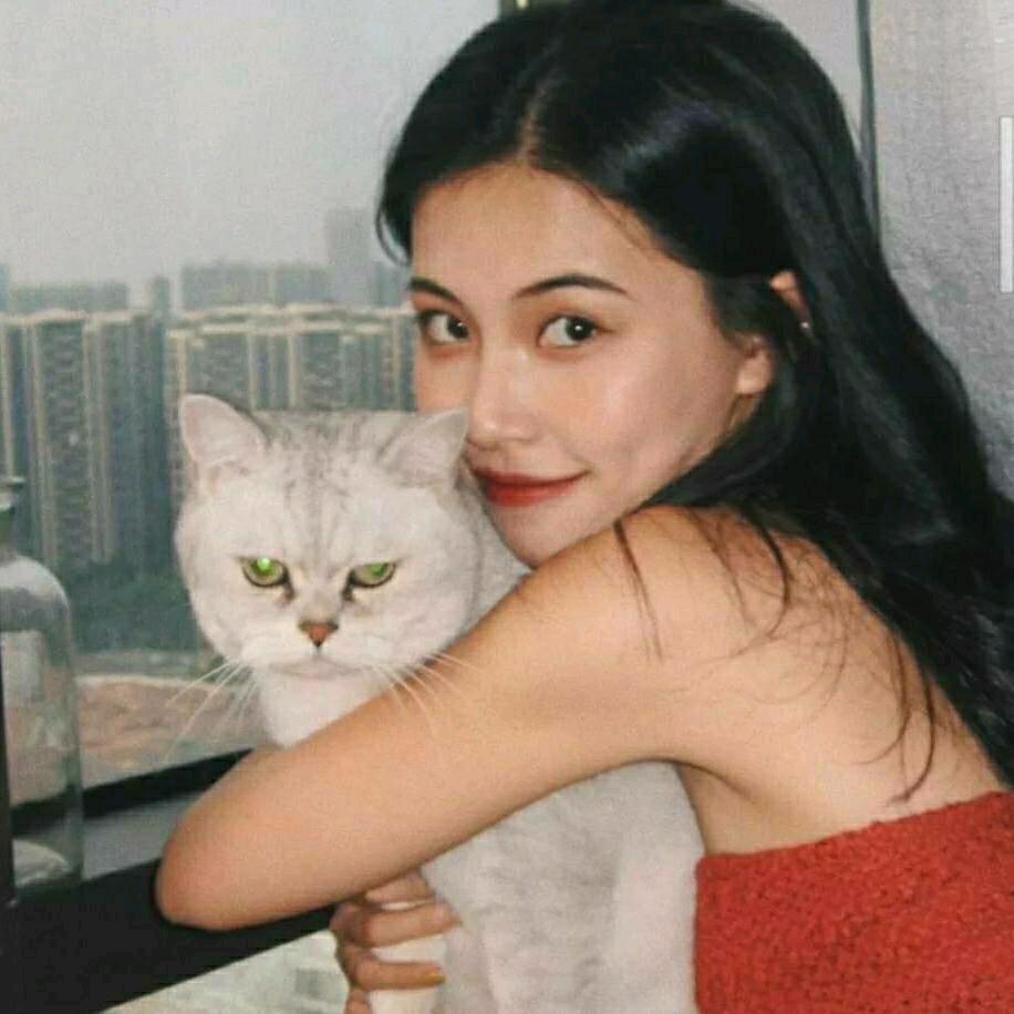 小黄不慌