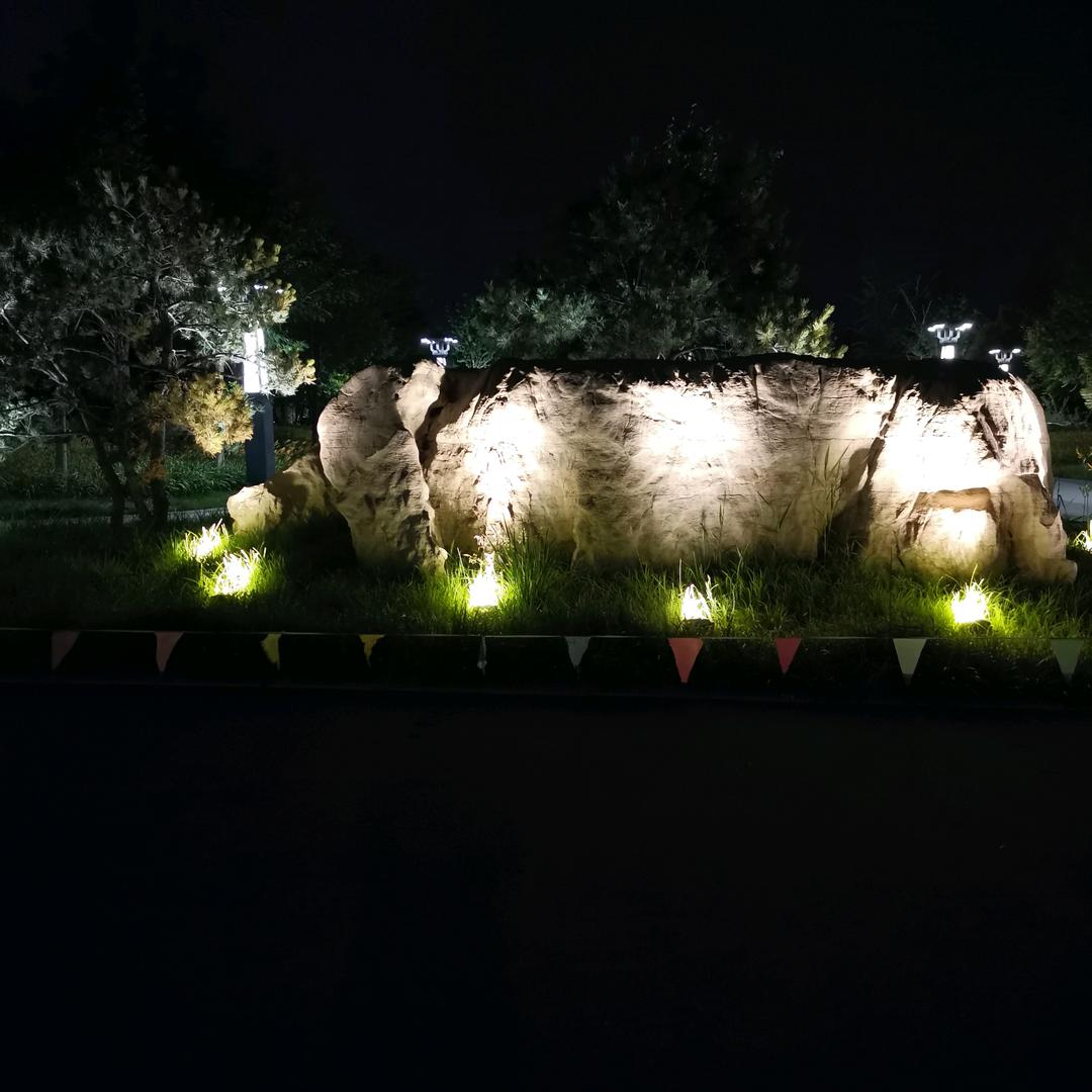 没想好