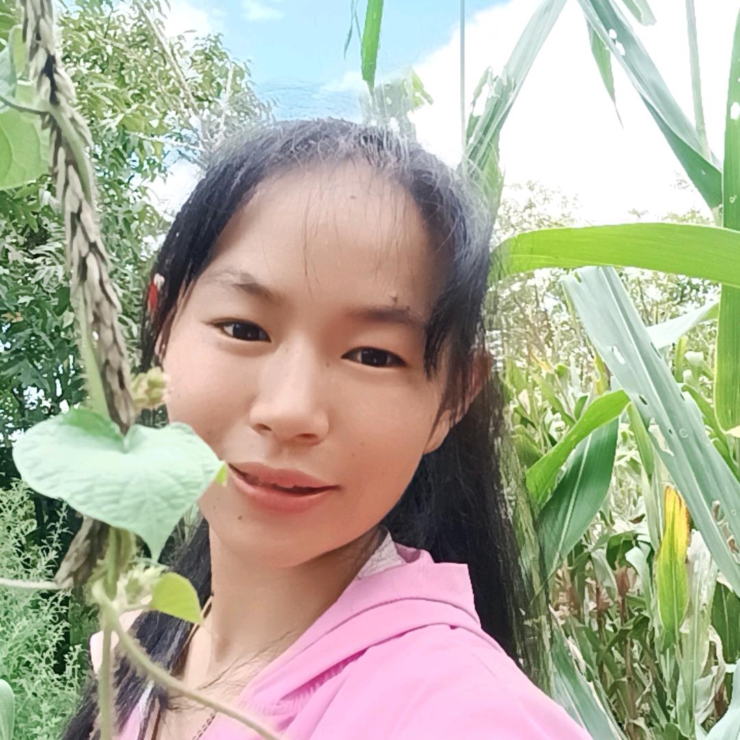 小白菜。
