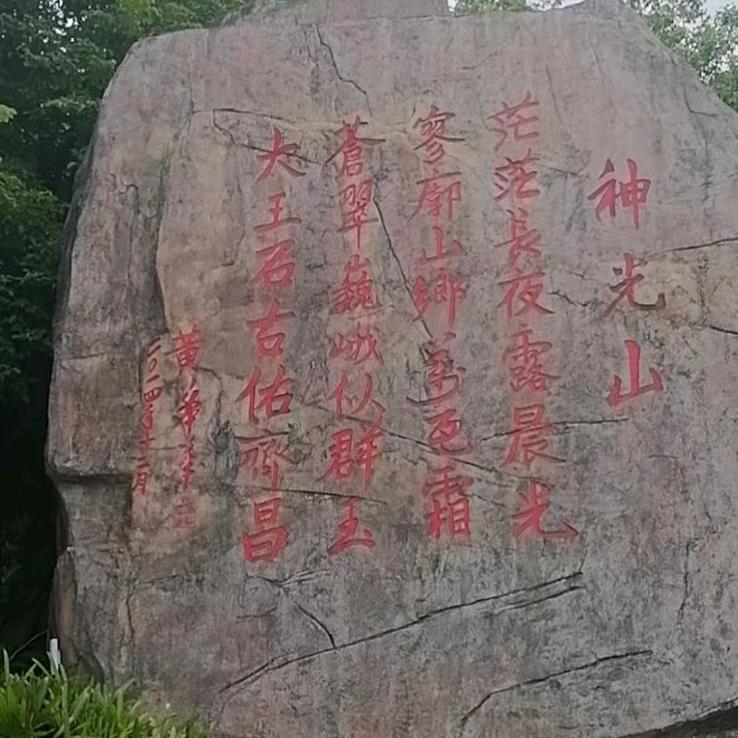 龍