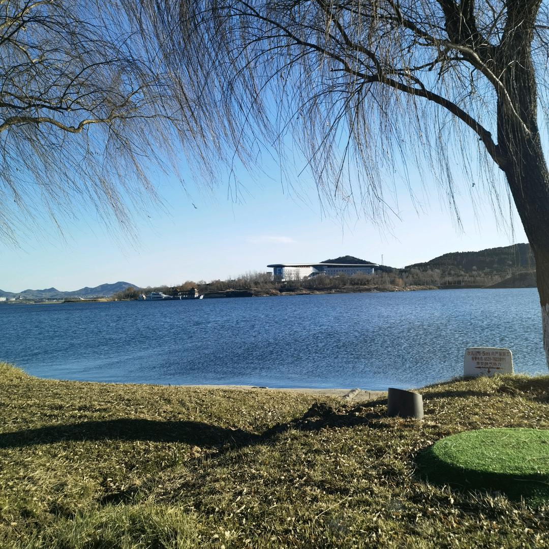 早晨的太阳☀️