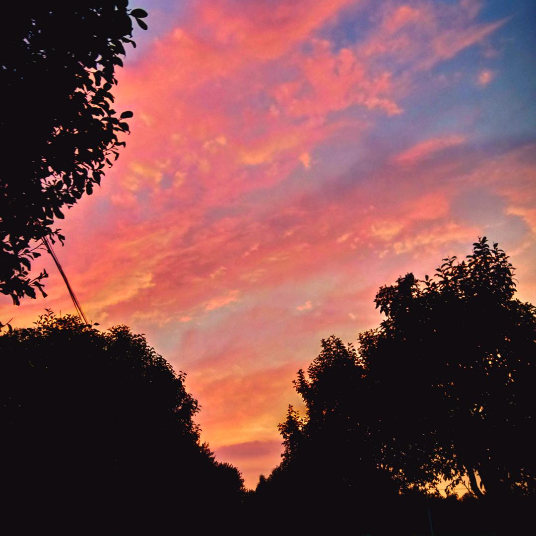 心存美好🌼🌸