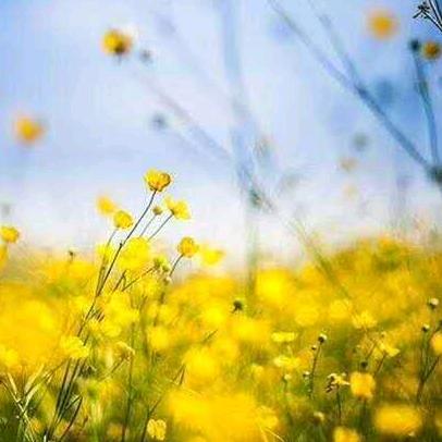 S(^_^)JX🍀