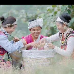 西藏僜人小强哥