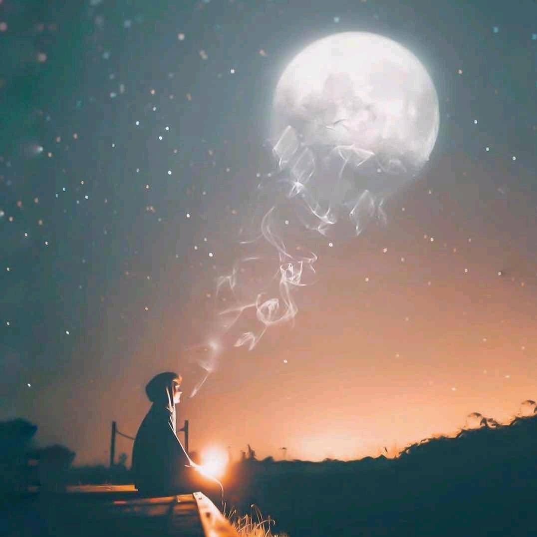空白灬