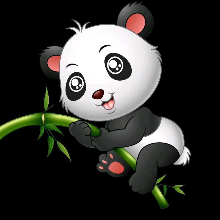 🐍苦瓜不甜🐍