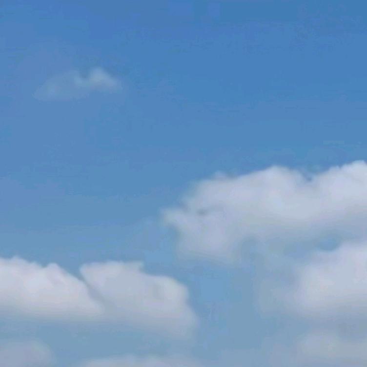 淡