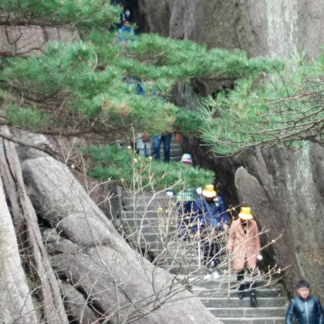 陈幸福
