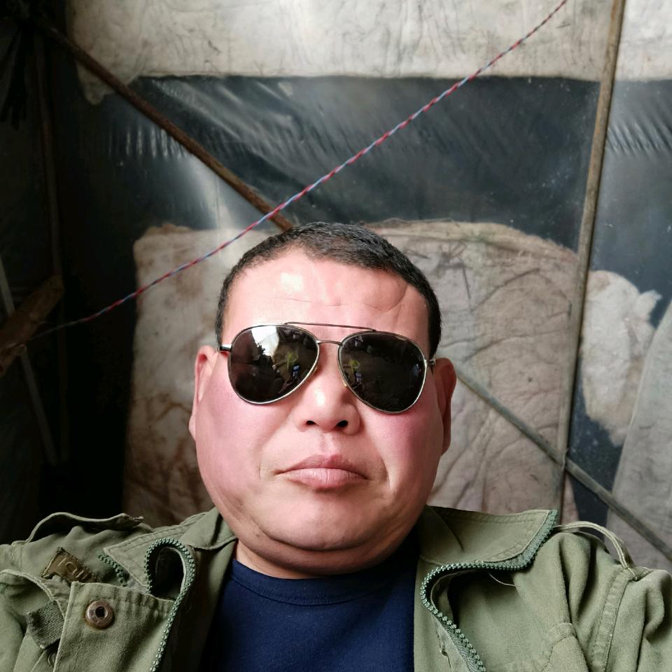 您们好您们