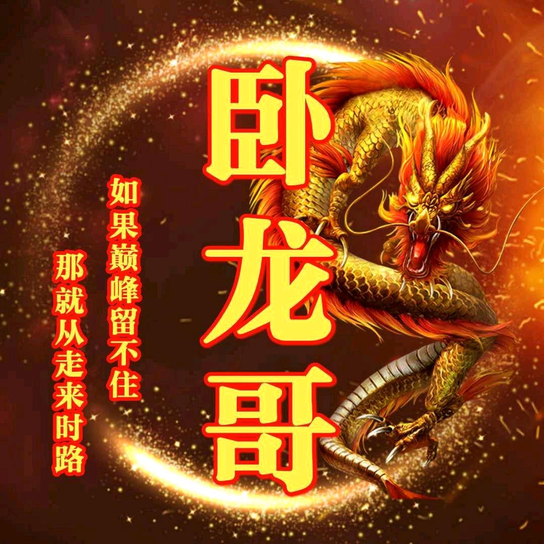卧龙哥 (越挫越勇)
