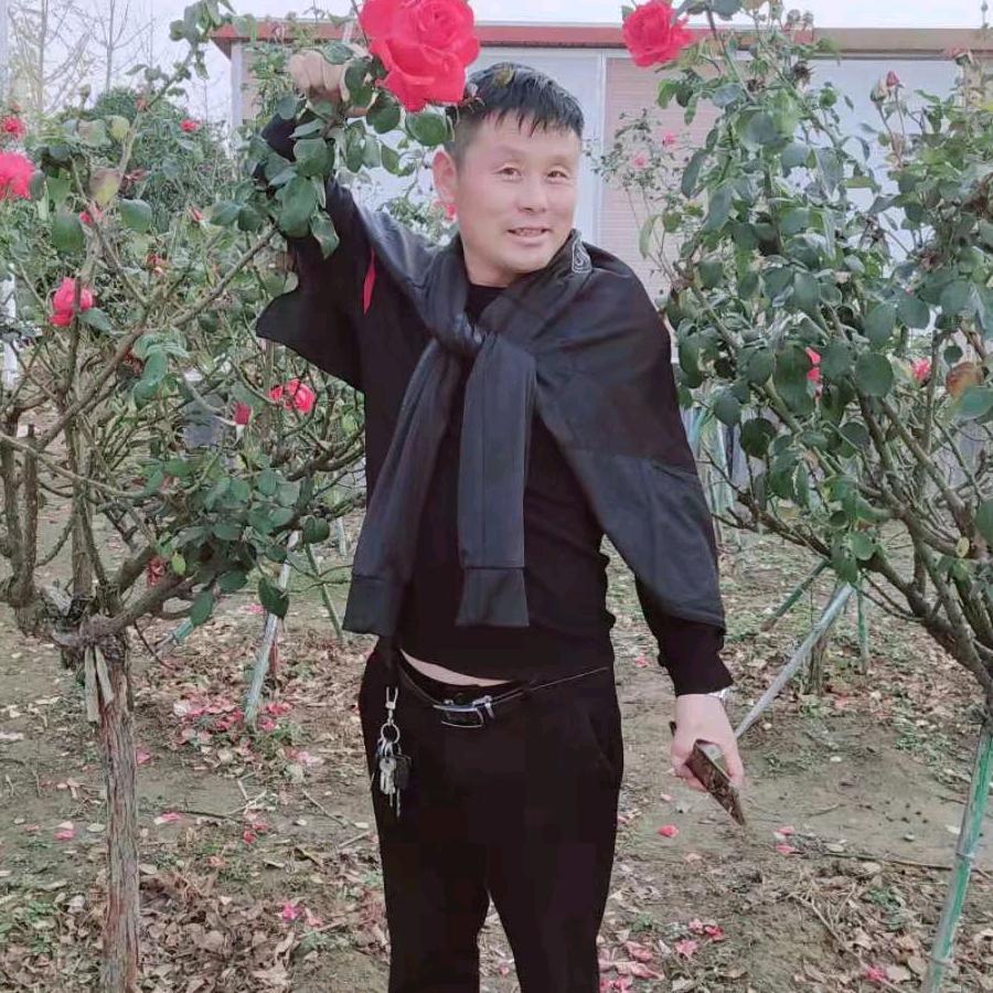 若愚，，，