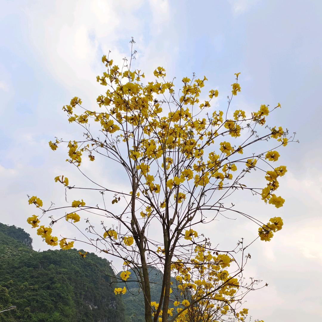 笔尖上的尘埃