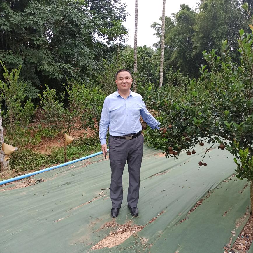 孙大明白