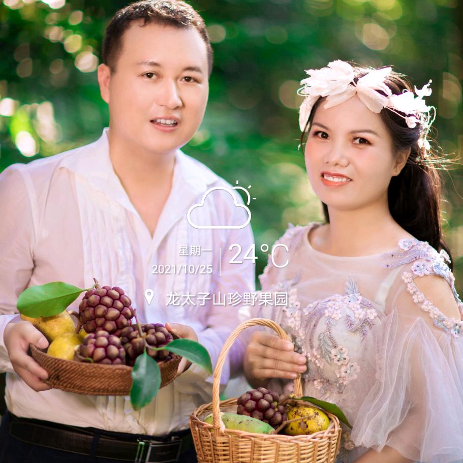 龙太子（赣南脐橙果园🍊&山珍野果园）