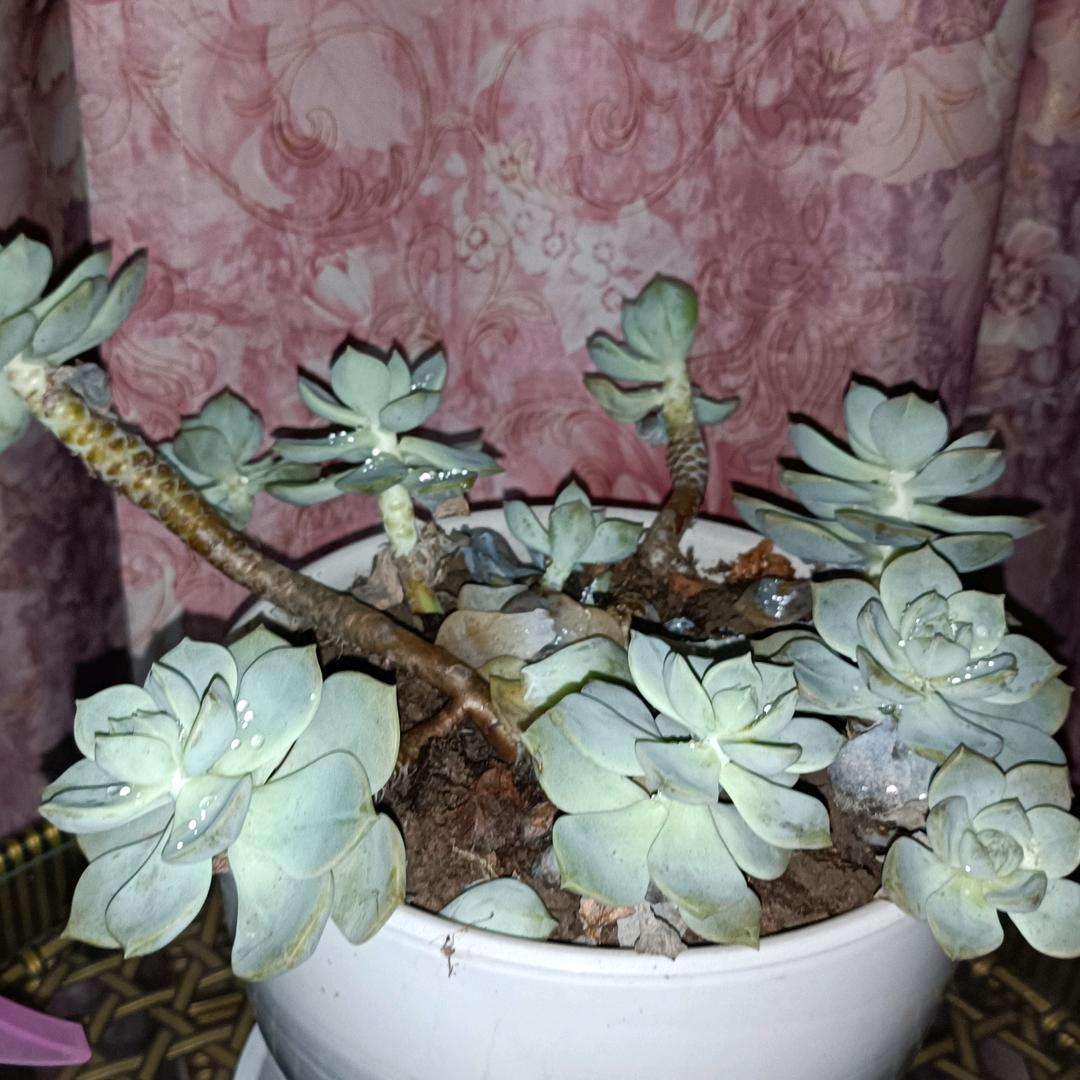 有来有往