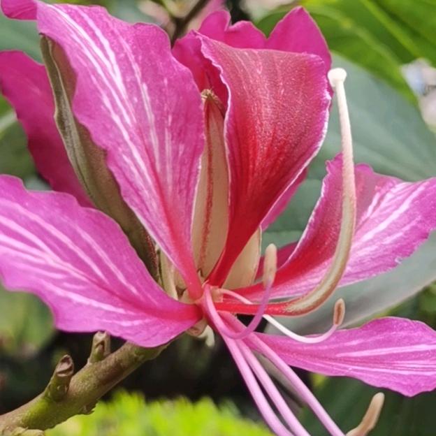 人间烟火的光芒
