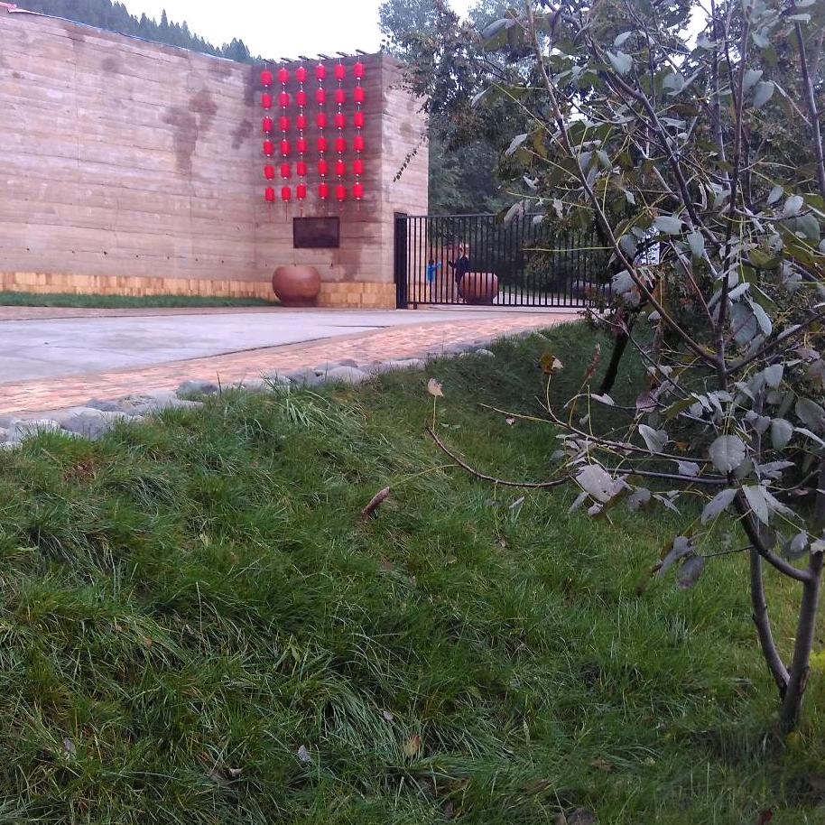 晨曦🍒