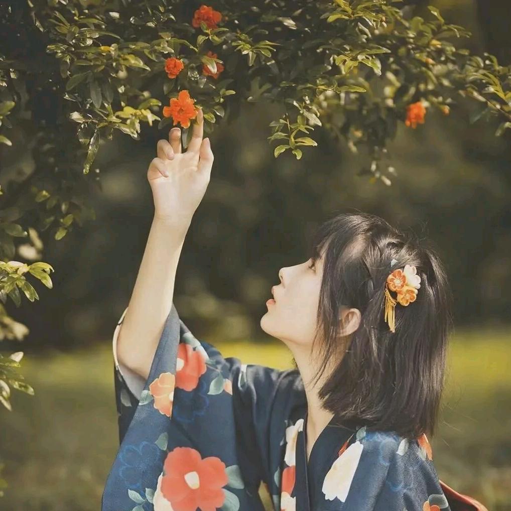 木槿凉夏ヾ(＾。^*)