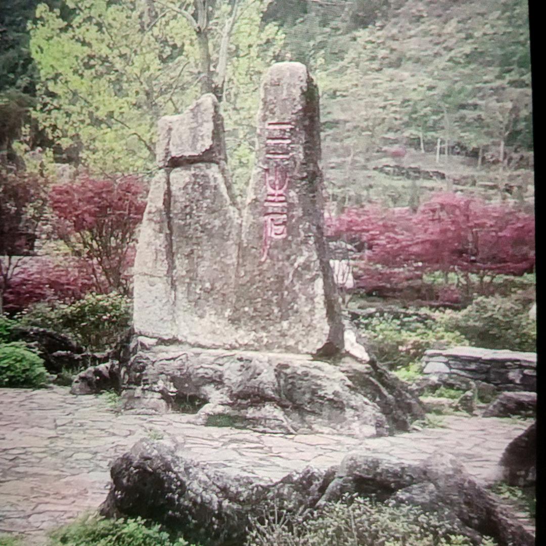 风雨之后见彩虹