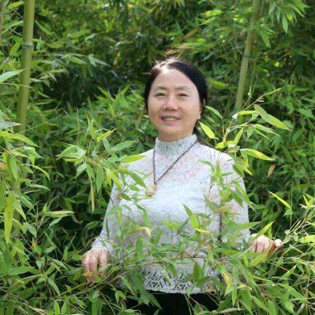 云臻三凤