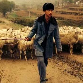 山村最强小农民