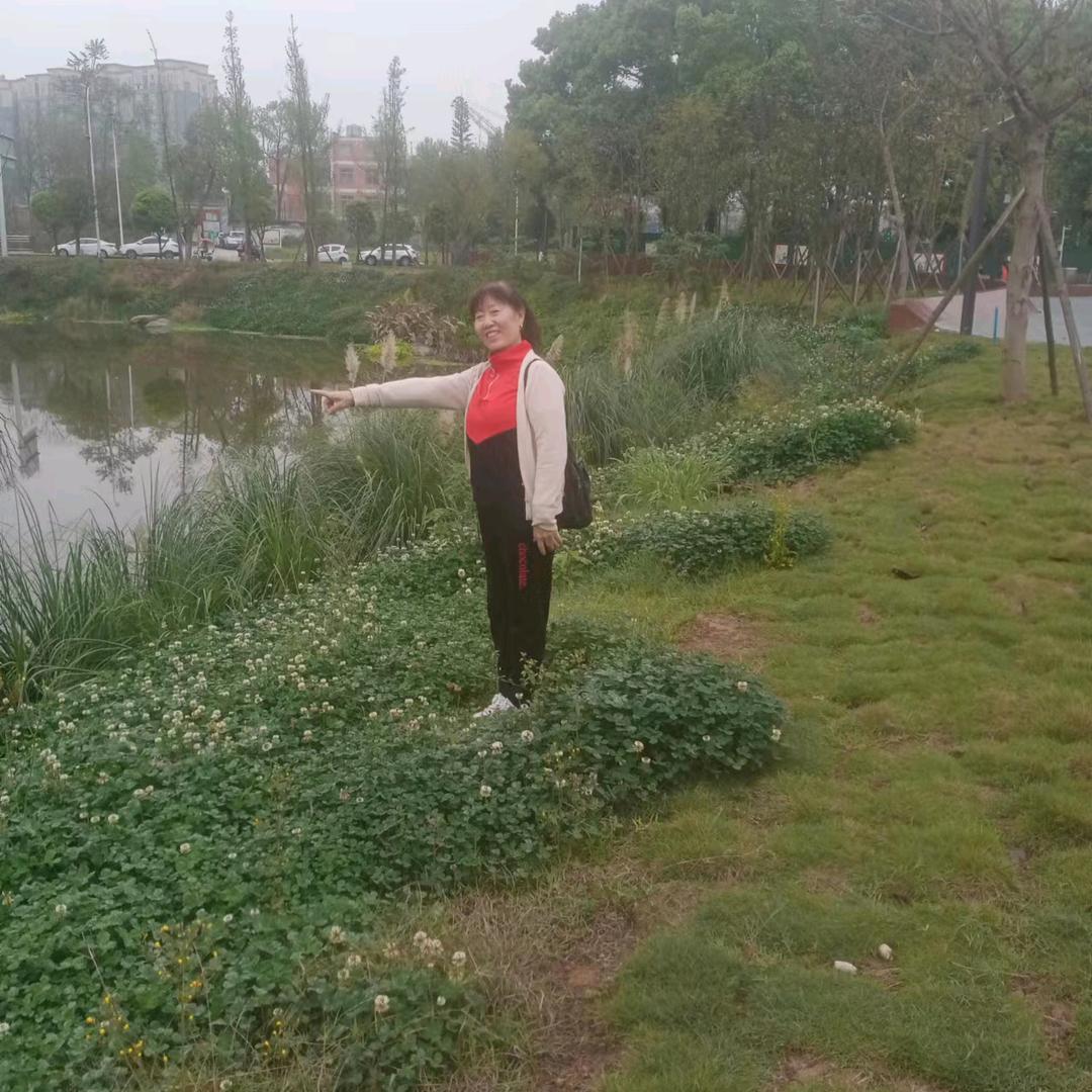 陈*珍
