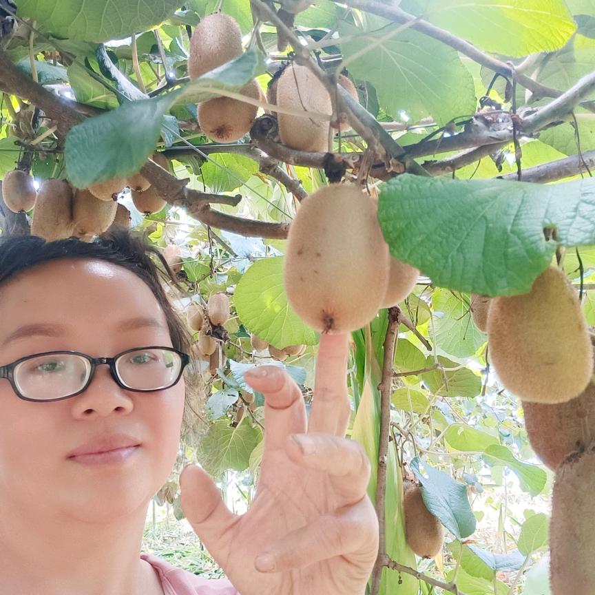 龙飞凤舞