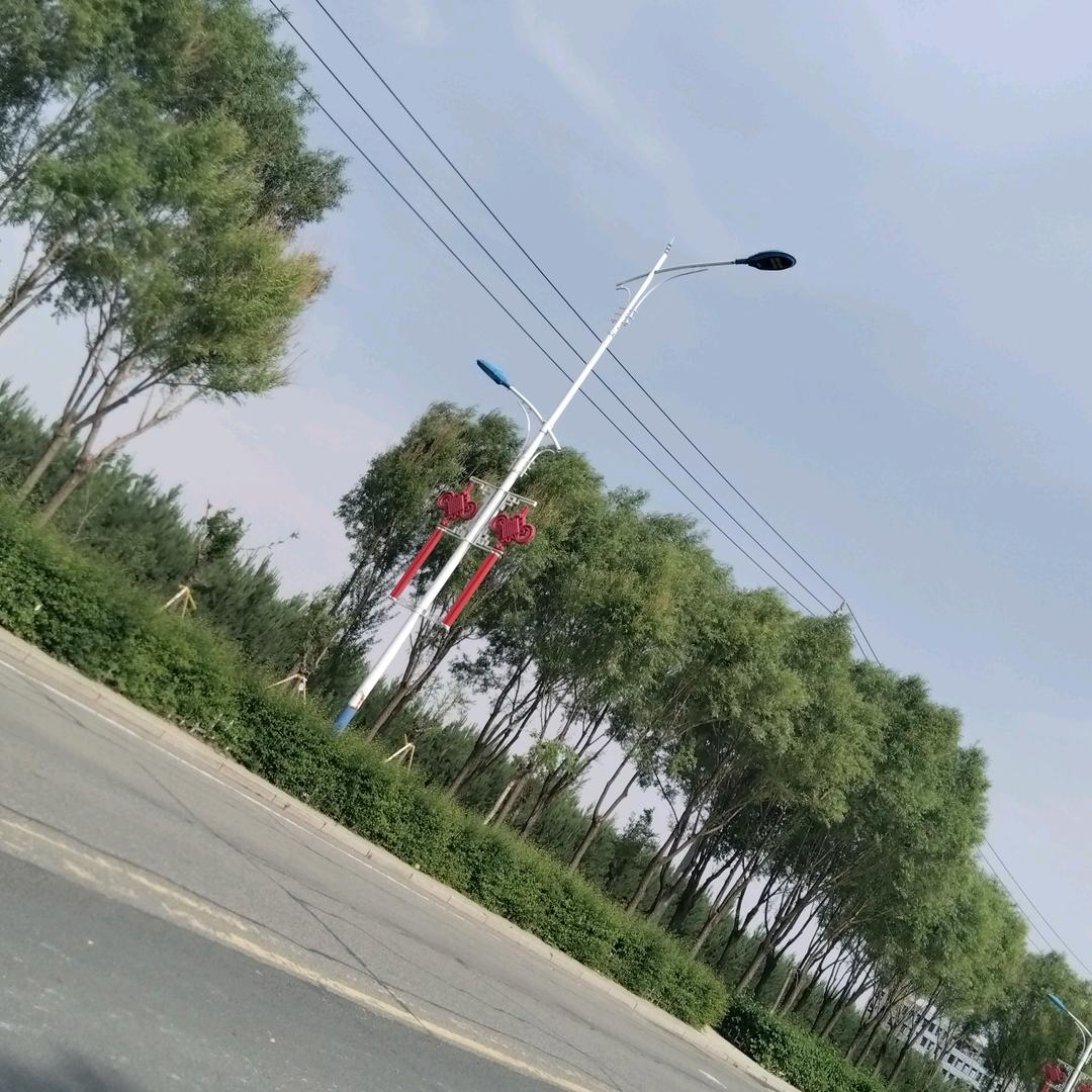 义气人