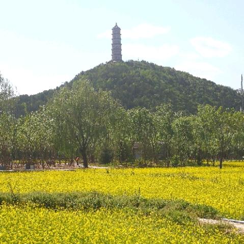 抖巴