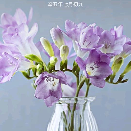 幸福的家庭
