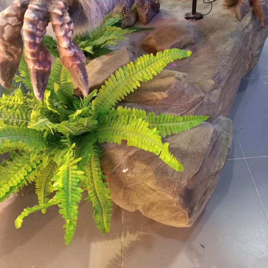 白云飘飘