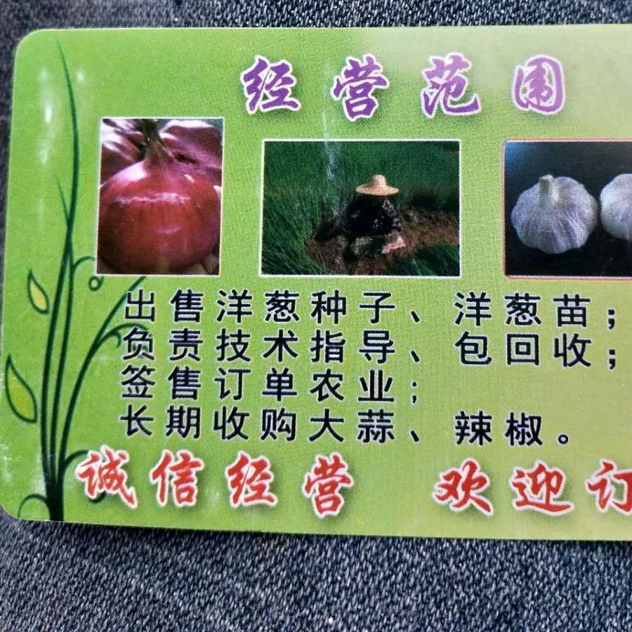 欣侬洋葱农副产品经营