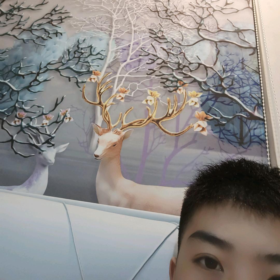 一路狂奔的牛🐮